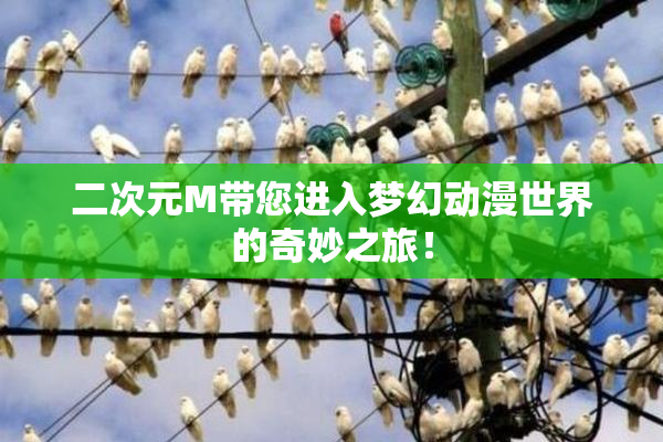 二次元M带您进入梦幻动漫世界的奇妙之旅！