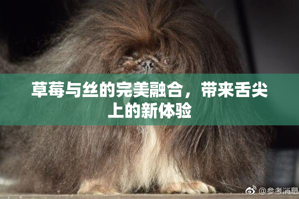 草莓与丝的完美融合，带来舌尖上的新体验
