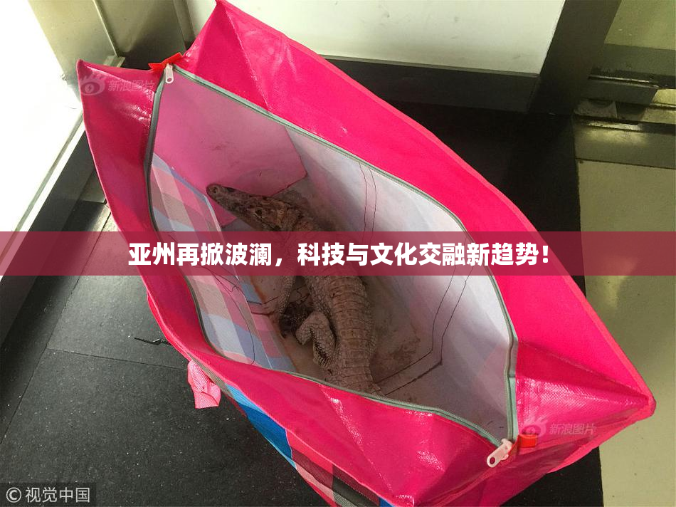 亚州再掀波澜，科技与文化交融新趋势！