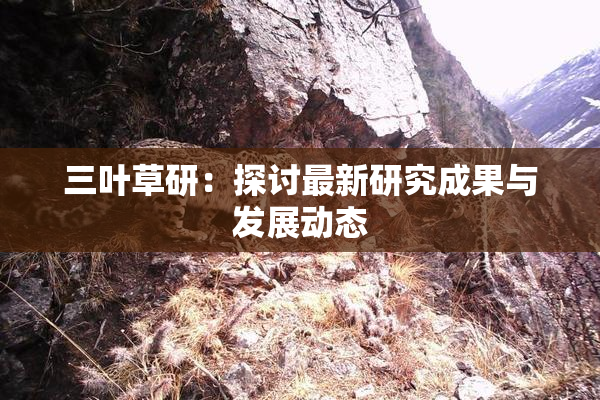 三叶草研：探讨最新研究成果与发展动态