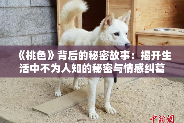 《桃色》背后的秘密故事：揭开生活中不为人知的秘密与情感纠葛