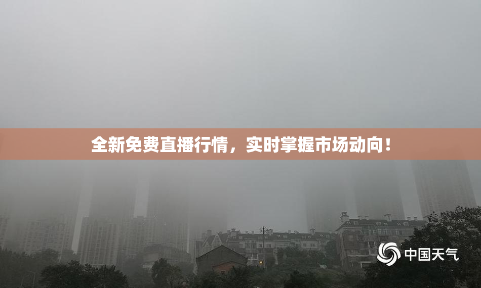 全新免费直播行情，实时掌握市场动向！