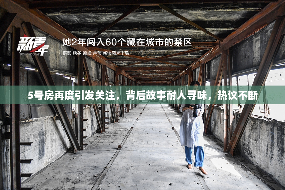 5号房再度引发关注，背后故事耐人寻味，热议不断