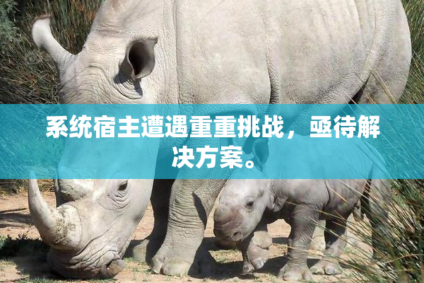 系统宿主遭遇重重挑战，亟待解决方案。