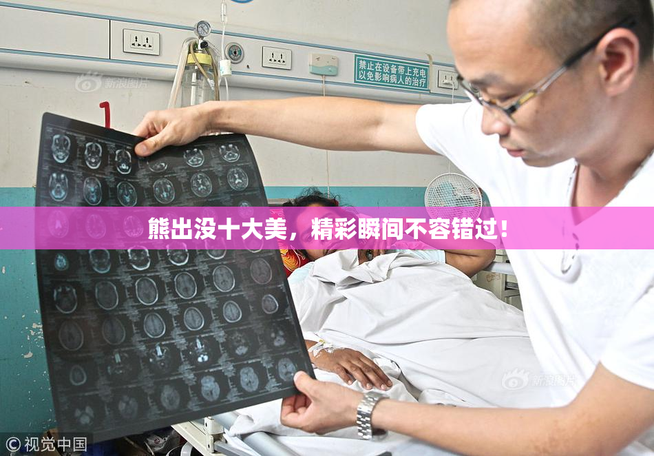 熊出没十大美，精彩瞬间不容错过！