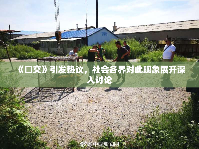 《囗交》引发热议，社会各界对此现象展开深入讨论