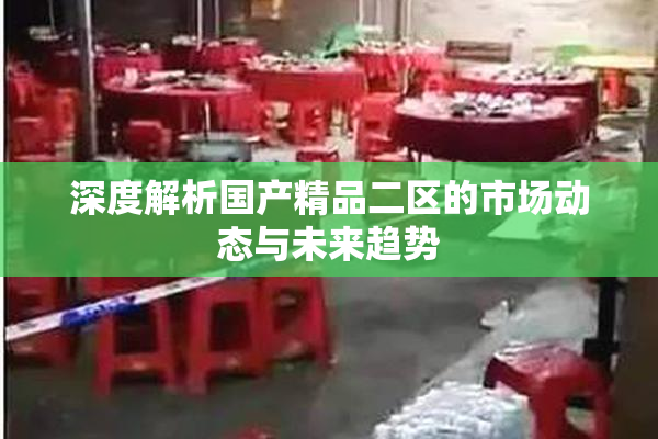 深度解析国产精品二区的市场动态与未来趋势
