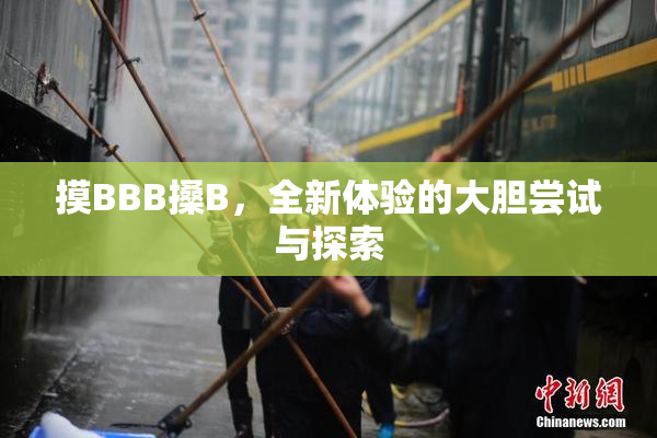 摸BBB搡B，全新体验的大胆尝试与探索