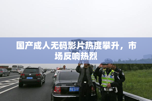 国产成人无码影片热度攀升，市场反响热烈