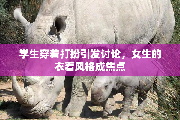 学生穿着打扮引发讨论，女生的衣着风格成焦点