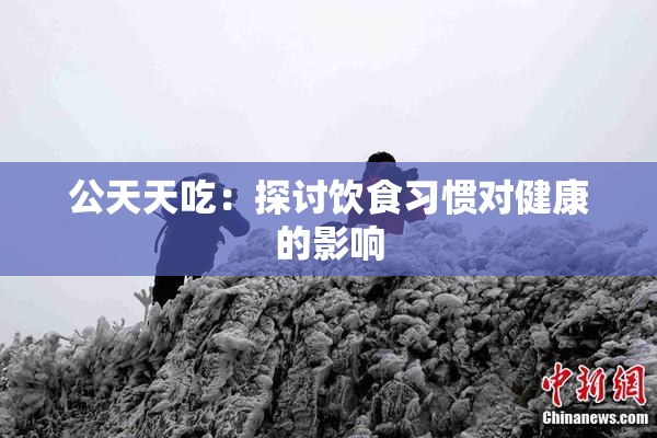 公天天吃：探讨饮食习惯对健康的影响