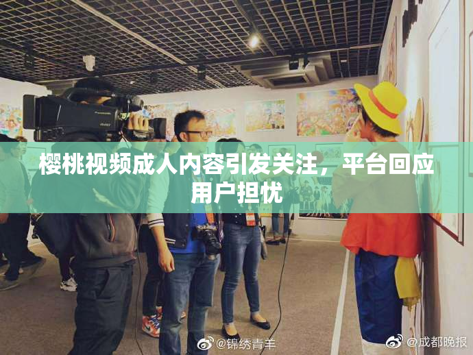 樱桃视频成人内容引发关注，平台回应用户担忧