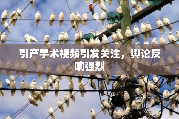 引产手术视频引发关注，舆论反响强烈