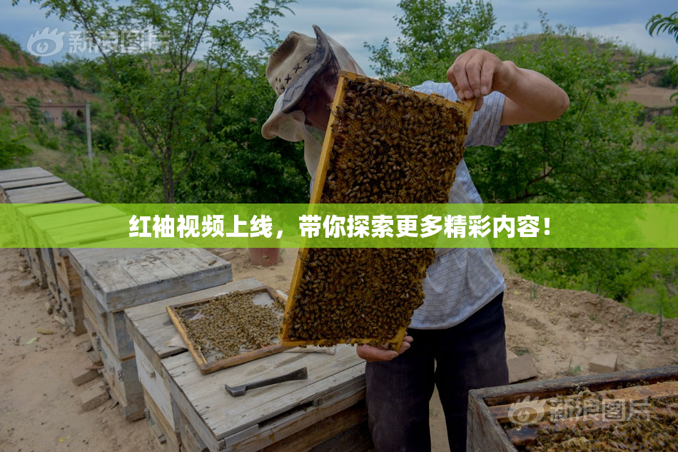 红袖视频上线，带你探索更多精彩内容！