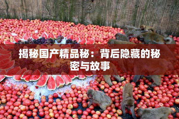 揭秘国产精品秘：背后隐藏的秘密与故事
