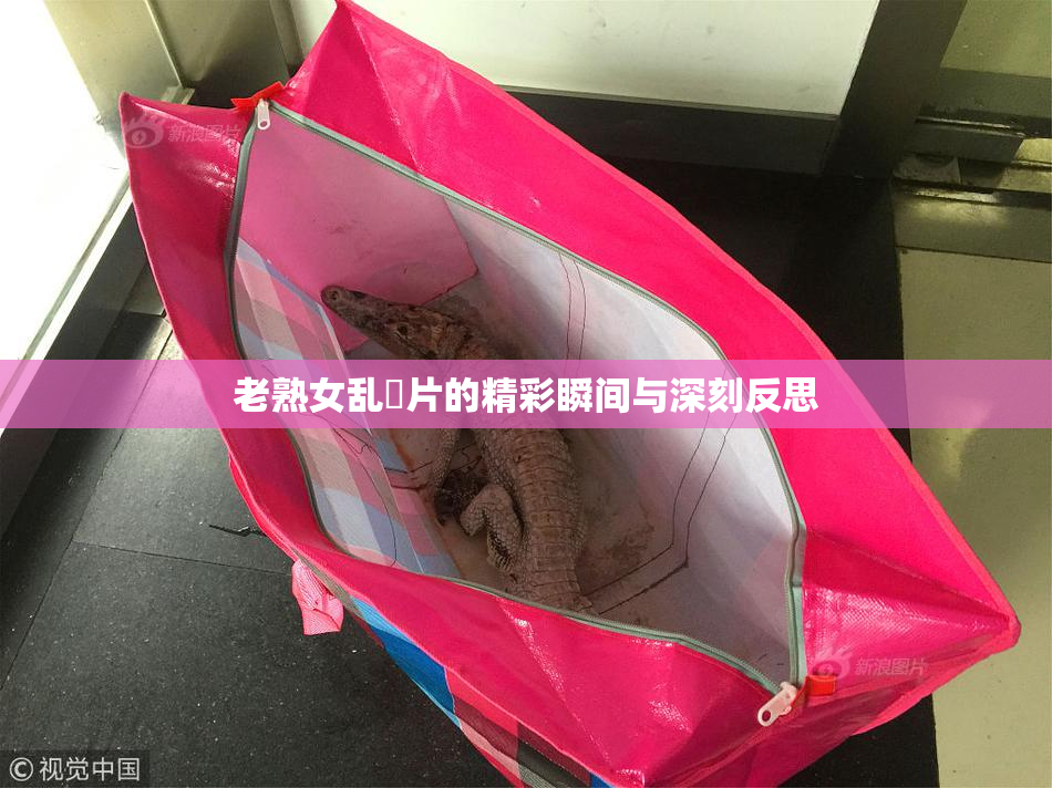 老熟女乱婬片的精彩瞬间与深刻反思