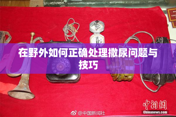 在野外如何正确处理撒尿问题与技巧
