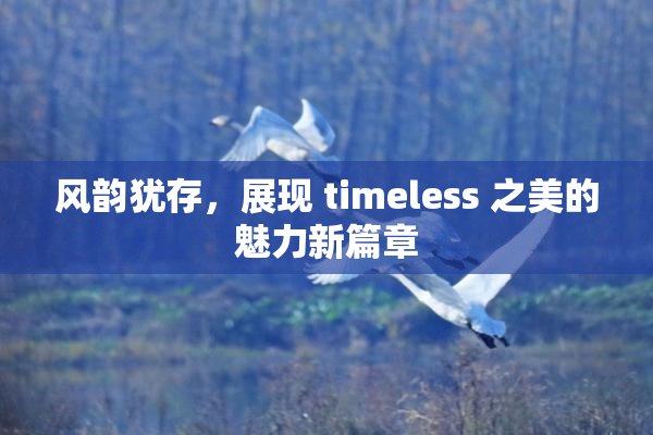 风韵犹存，展现 timeless 之美的魅力新篇章