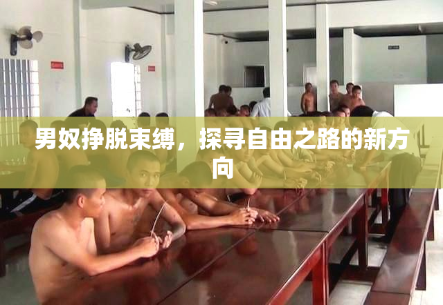 男奴挣脱束缚，探寻自由之路的新方向