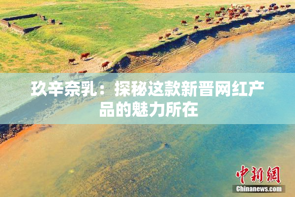 玖辛奈乳：探秘这款新晋网红产品的魅力所在