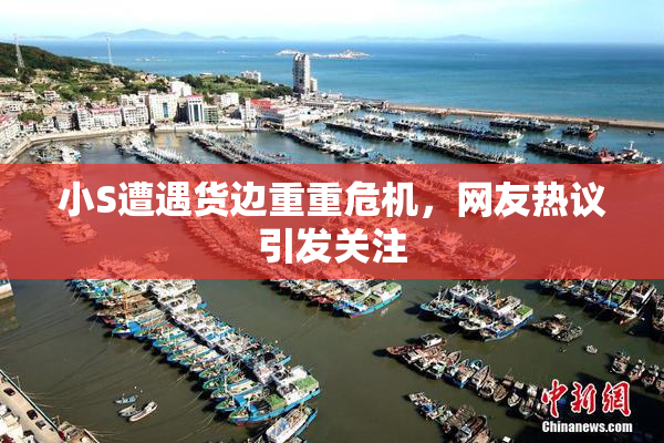 小S遭遇货边重重危机，网友热议引发关注