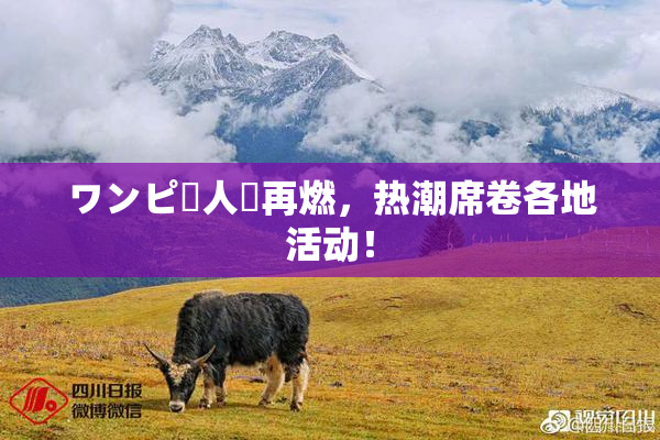 ワンピー人気再燃，热潮席卷各地活动！