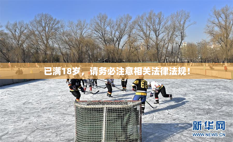 已满18岁，请务必注意相关法律法规！
