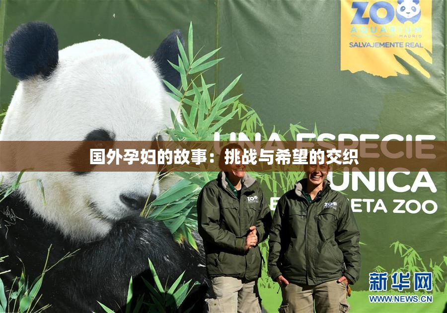 国外孕妇的故事：挑战与希望的交织