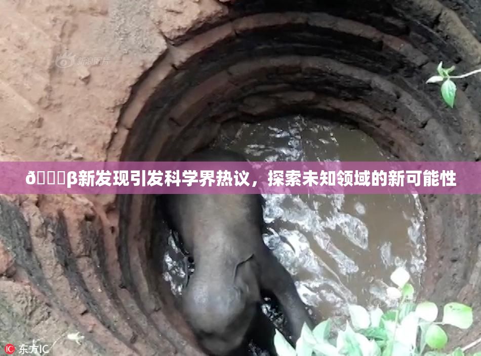 🔞β新发现引发科学界热议，探索未知领域的新可能性