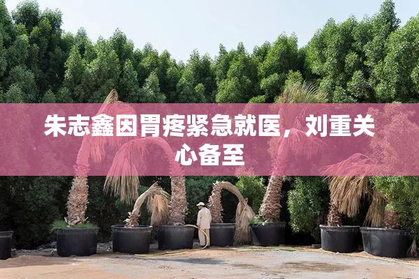朱志鑫因胃疼紧急就医，刘重关心备至