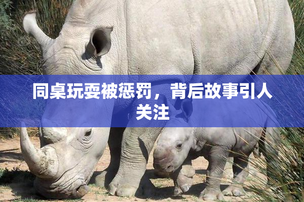 同桌玩耍被惩罚，背后故事引人关注