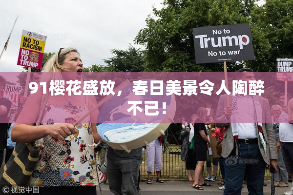 91樱花盛放，春日美景令人陶醉不已！