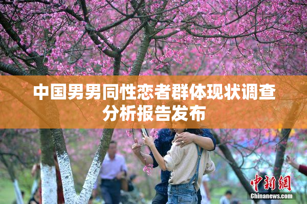 中国男男同性恋者群体现状调查分析报告发布