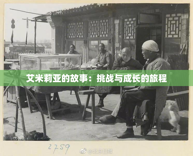 艾米莉亚的故事：挑战与成长的旅程