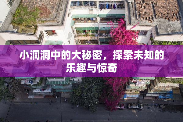 小洞洞中的大秘密，探索未知的乐趣与惊奇