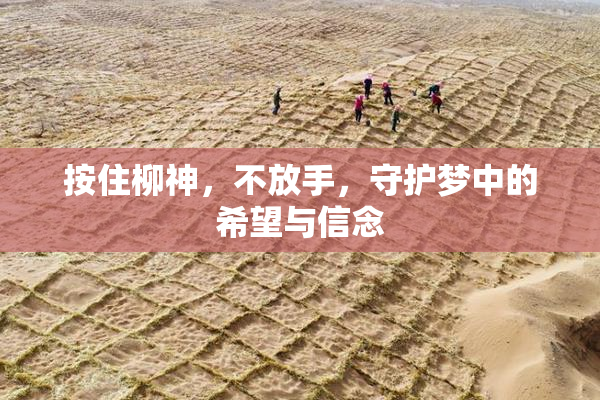 按住柳神，不放手，守护梦中的希望与信念