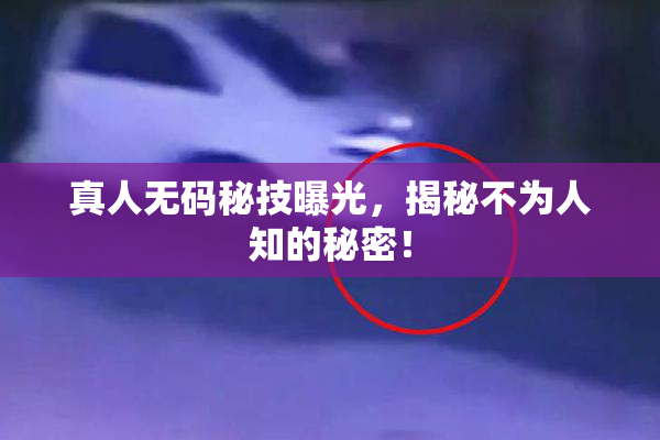 真人无码秘技曝光，揭秘不为人知的秘密！