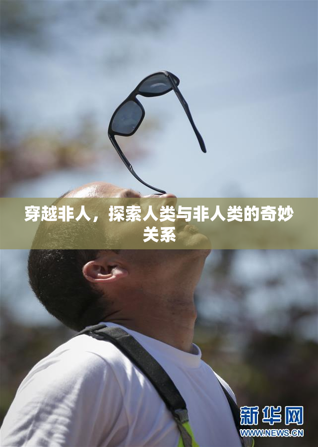 穿越非人，探索人类与非人类的奇妙关系