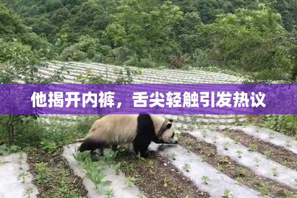 他揭开内裤，舌尖轻触引发热议