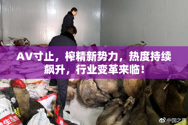 AV寸止，榨精新势力，热度持续飙升，行业变革来临！