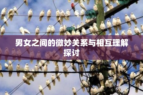 男女之间的微妙关系与相互理解探讨