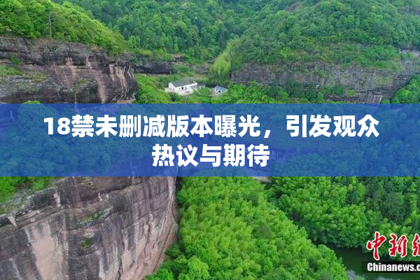 18禁未删减版本曝光，引发观众热议与期待
