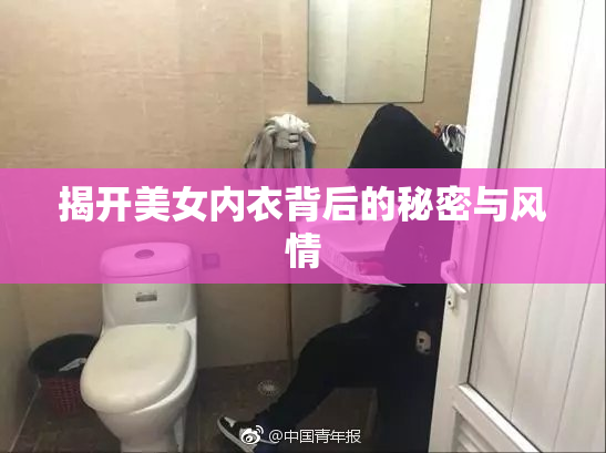 揭开美女内衣背后的秘密与风情