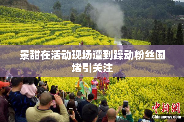景甜在活动现场遭到躁动粉丝围堵引关注