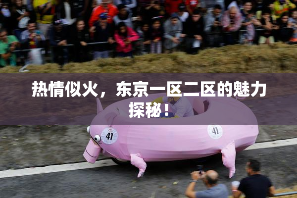 热情似火，东京一区二区的魅力探秘！