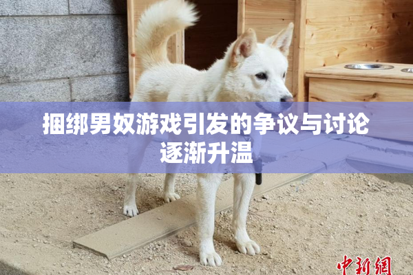 捆绑男奴游戏引发的争议与讨论逐渐升温