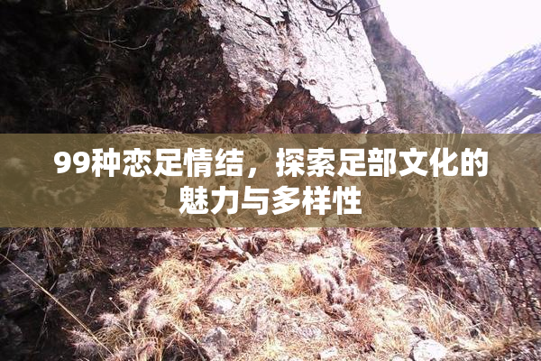 99种恋足情结，探索足部文化的魅力与多样性