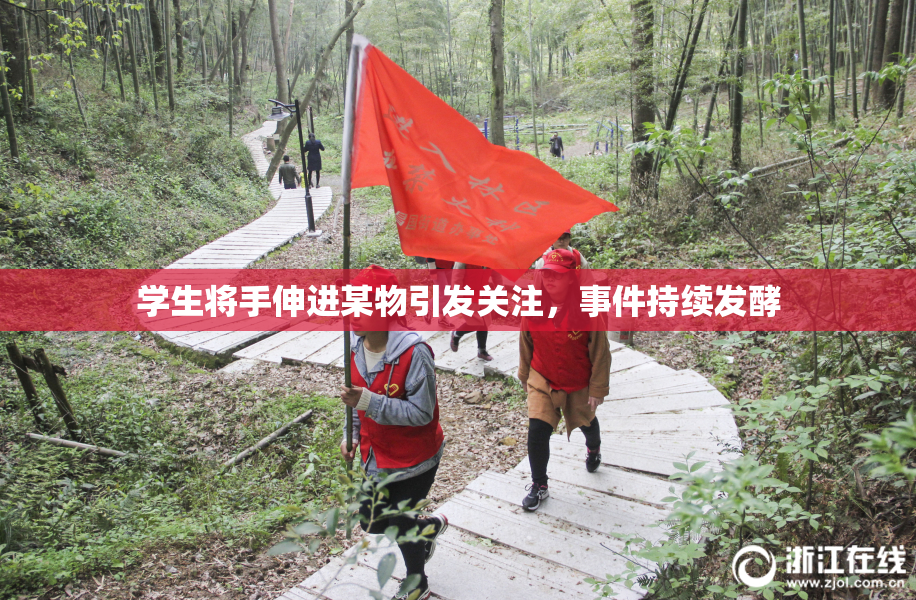 学生将手伸进某物引发关注，事件持续发酵