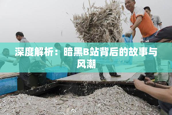 深度解析：暗黑B站背后的故事与风潮