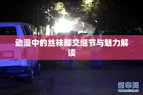 动漫中的丝袜脚交细节与魅力解读